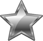 Silver icon